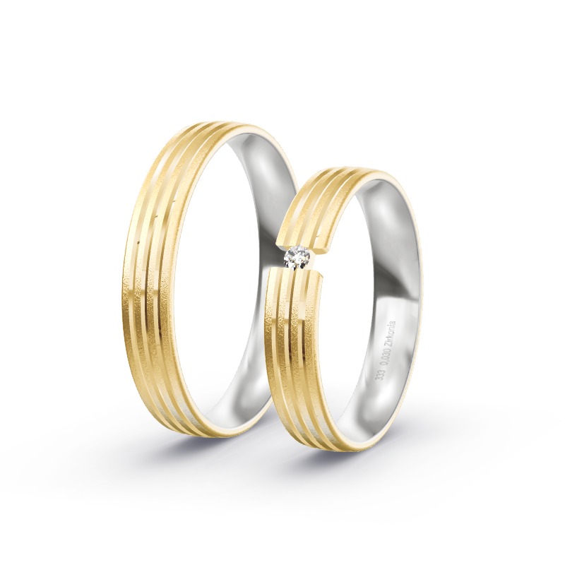 2 Eheringe / Partnerringe BiColor - Modell 2146 Eisfeld