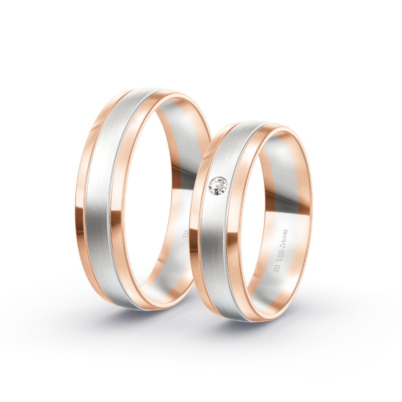 2 Eheringe / Partnerringe BiColor - Modell 1702 Hausen