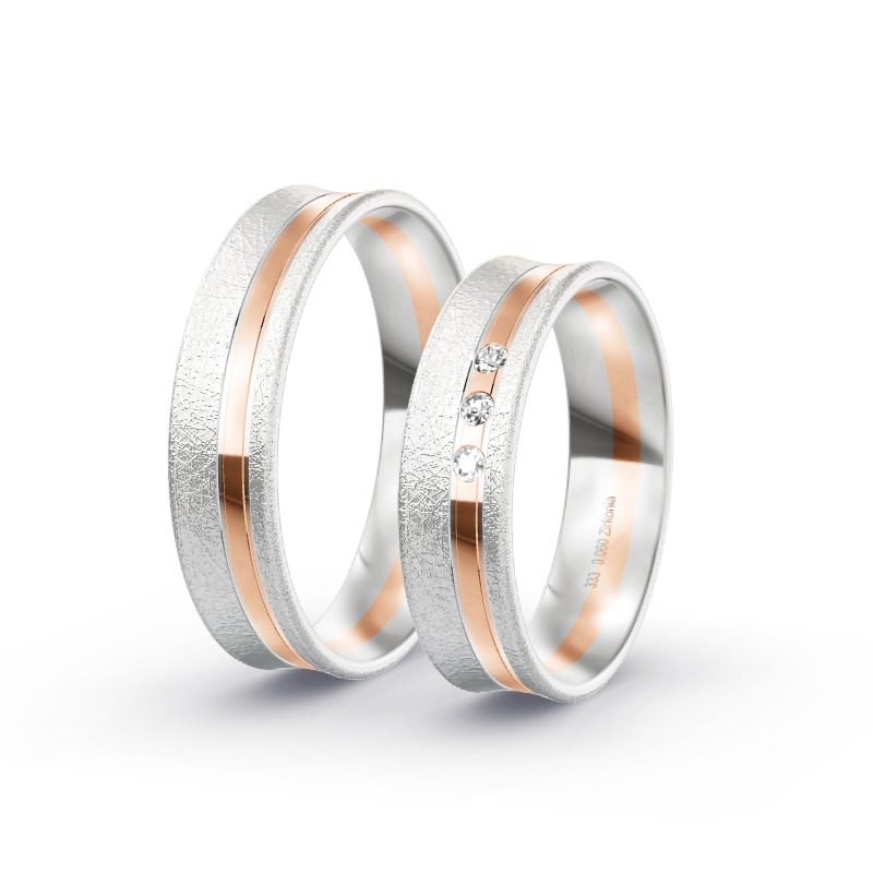 2 Eheringe / Partnerringe BiColor - Modell 1709 Salzwedel