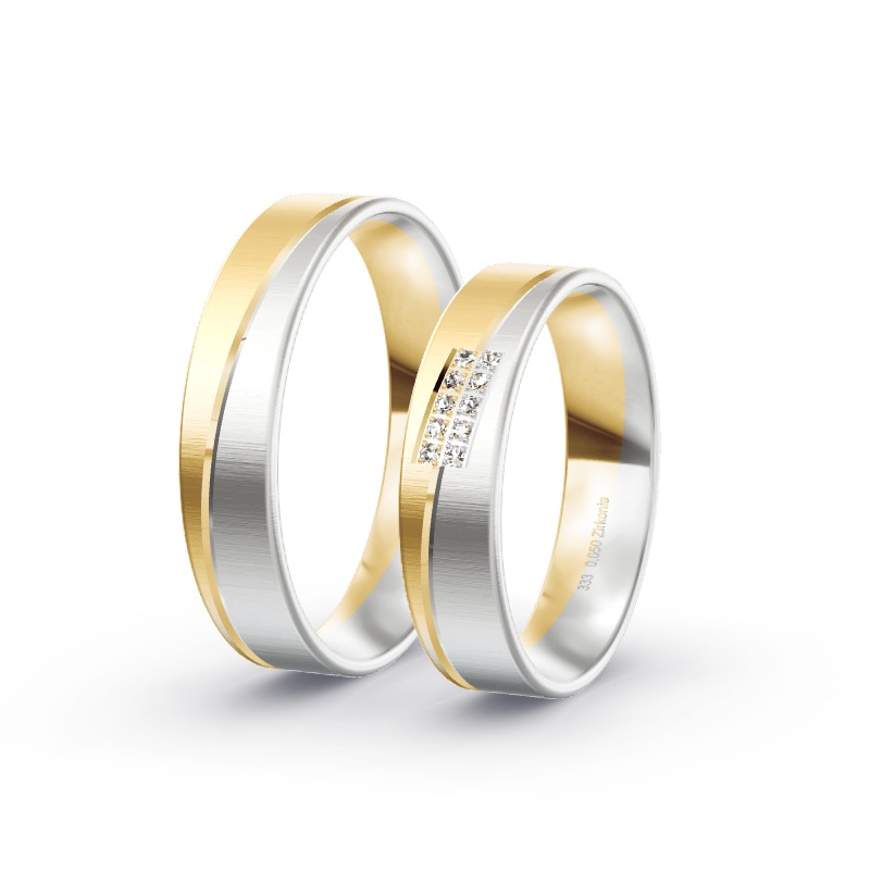 2 Eheringe / Partnerringe BiColor - Modell 2305 Speyer