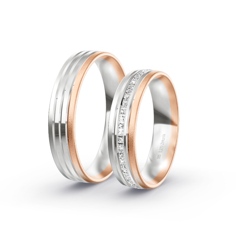 2 Eheringe / Partnerringe 585 Gold BiColor - Modell 2446 Eisenberg