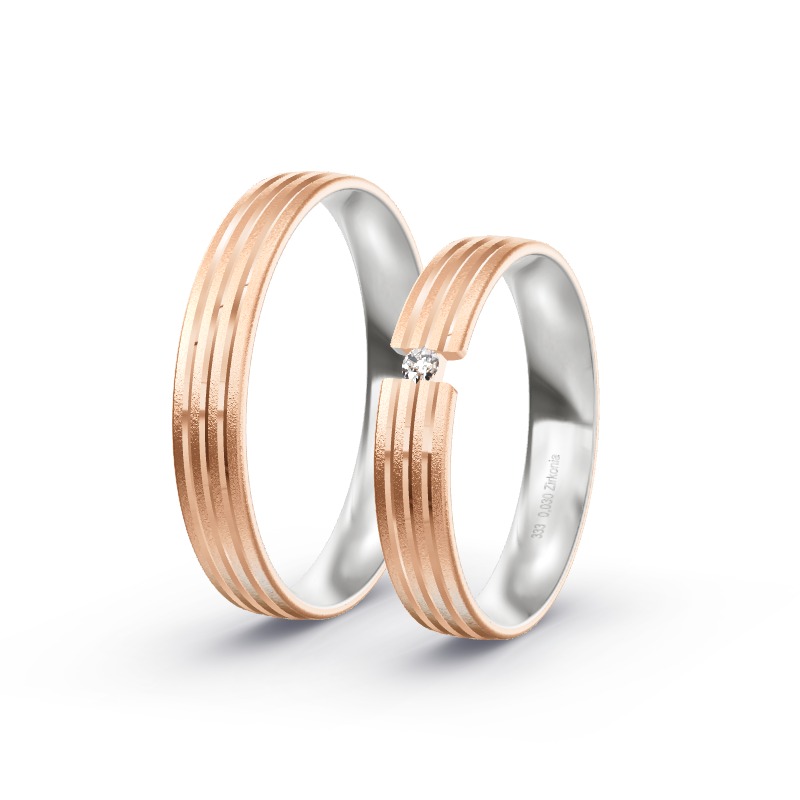 2 Eheringe / Partnerringe BiColor - Modell 2357 Hallstadt