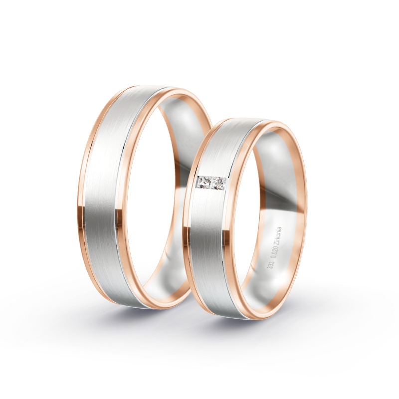 2 Eheringe / Partnerringe BiColor - Modell 1733 Isen