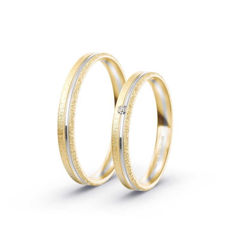 2 Eheringe / Partnerringe BiColor - Modell 2179 Eggenfelden