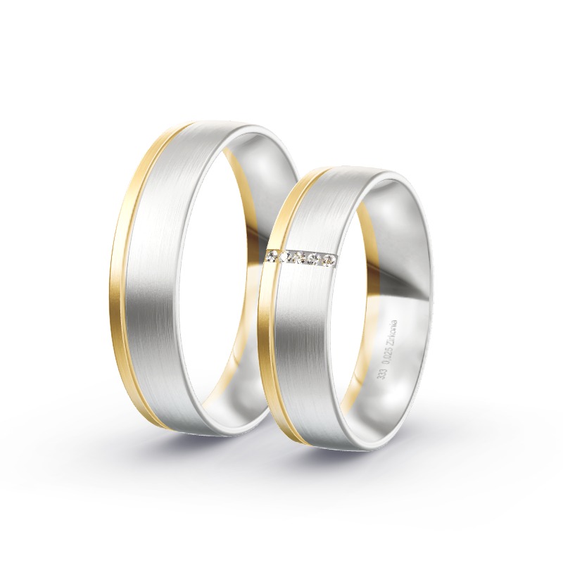 2 Eheringe / Partnerringe BiColor Modell 2028 Kaprun
