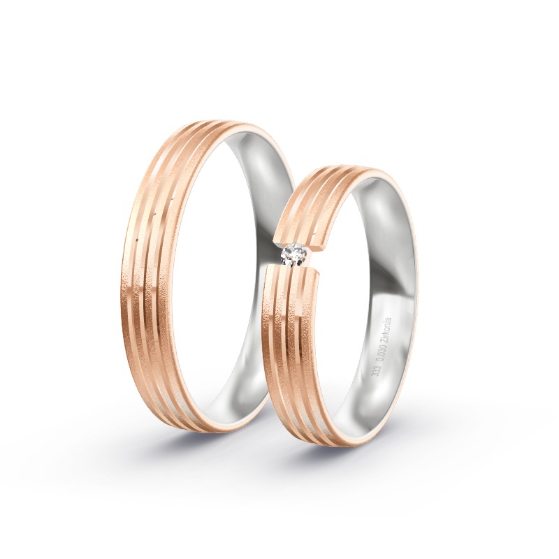 2 Eheringe / Partnerringe BiColor - Modell 2196 Diepholz