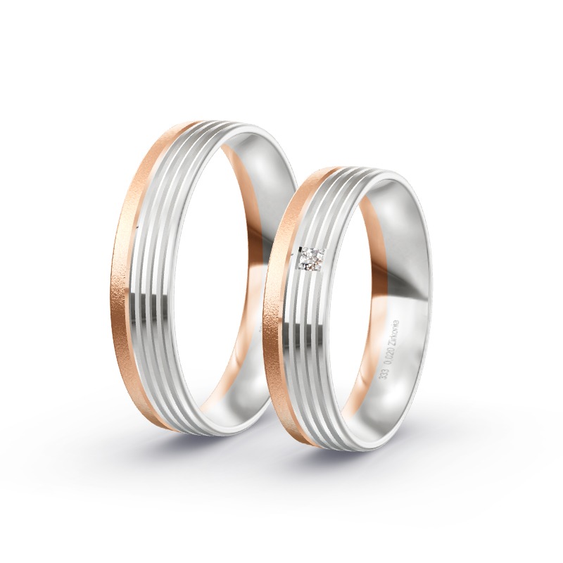 2 Eheringe / Partnerringe BiColor - Modell 2404 Neckarsulm