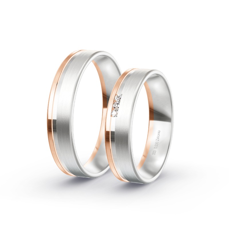 2 Eheringe / Partnerringe BiColor - Modell 1718 Teugn