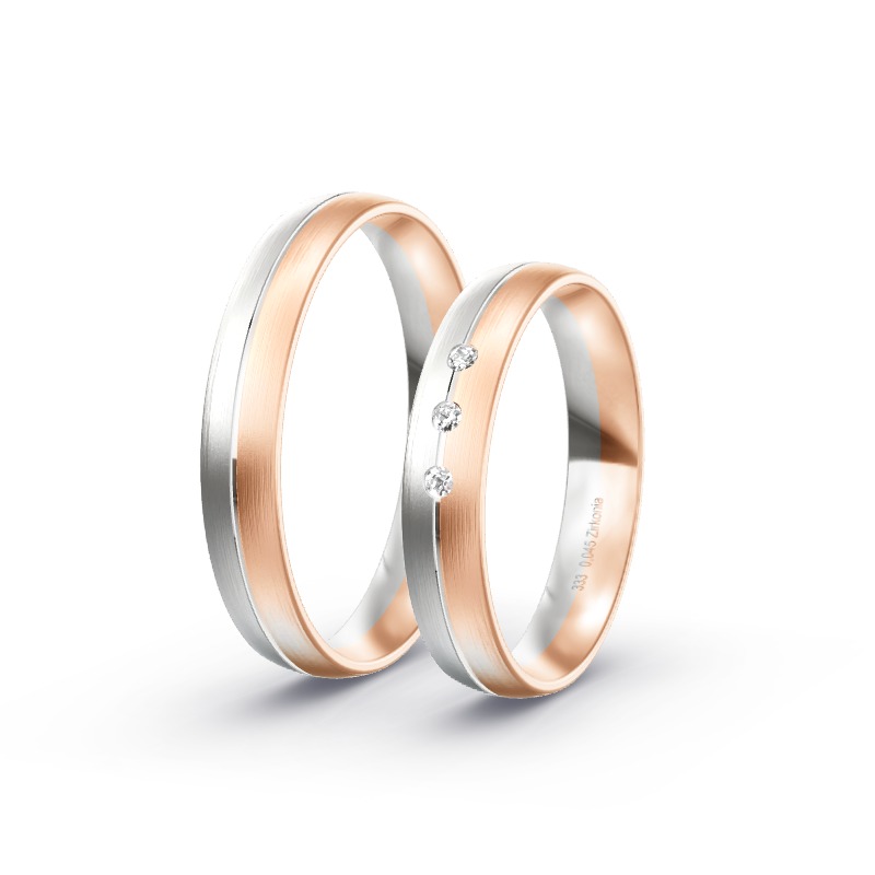 2 Eheringe / Partnerringe BiColor - Modell 1740 Baiern