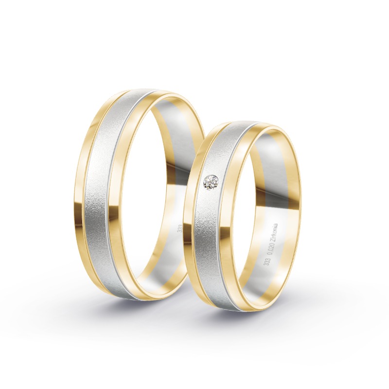 2 Trauringe / Eheringe BiColor - Modell 1535 Singen
