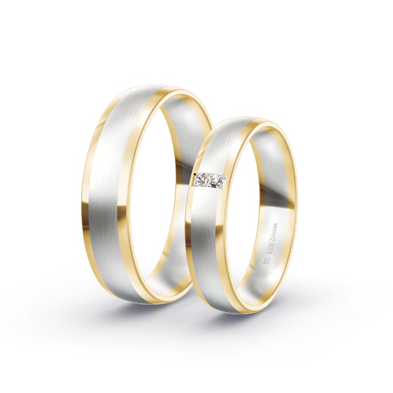 2 Eheringe / Partnerringe BiColor - Modell 1732 Bockhorn