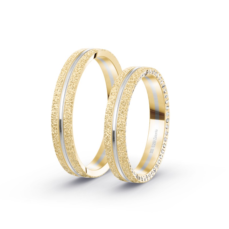 2 Eheringe / Partnerringe BiColor - Modell 2176 Ergolding